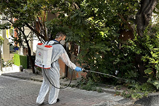 KÂĞITHANE’DE HAŞERE VE SİNEKLERE KARŞI ETKİN MÜCADELE